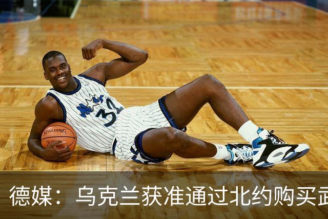 德媒：乌克兰获准通过北约购买武器