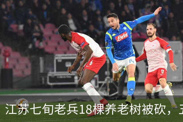 江苏七旬老兵18棵养老树被砍，五次赴省反映后被送派出所