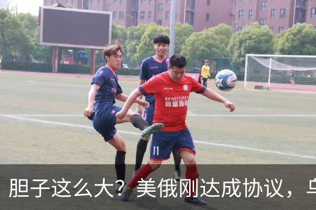 胆子这么大？美俄刚达成协议，乌克兰就搞事，威胁特朗普“上贡”