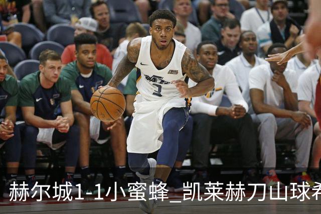 赫尔城1-1小蜜蜂 凯莱赫刀山球希基送点 麦克伯尼点射瓦塔拉扳平