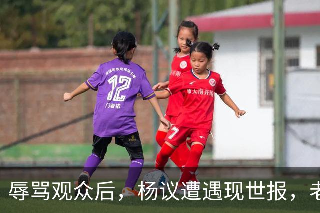 辱骂观众后，杨议遭遇现世报，老赖身份被扒，官方介入，演出下架