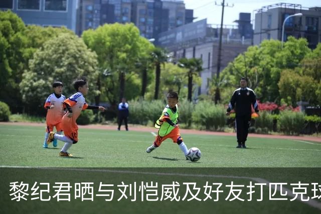 黎纪君晒与刘恺威及好友打匹克球的合照，两人承认恋情后首次同框